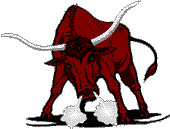 Bull